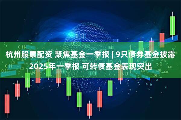 杭州股票配资 聚焦基金一季报 | 9只债券基金披露2025年一季报 可转债基金表现突出