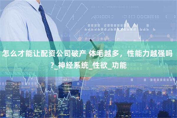怎么才能让配资公司破产 体毛越多，性能力越强吗 ?_神经系统_性欲_功能