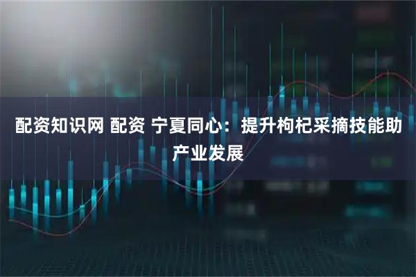 配资知识网 配资 宁夏同心：提升枸杞采摘技能助产业发展