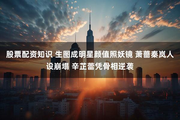 股票配资知识 生图成明星颜值照妖镜 萧蔷秦岚人设崩塌 辛芷蕾凭骨相逆袭